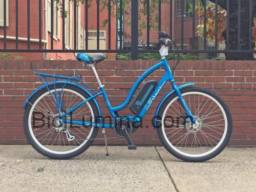 Schwinn Constance opinión y ficha técnica